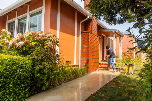 Best Pressure Washing Near Me  in La Cienega, NM