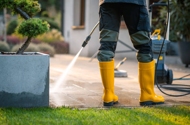 Best Deck Pressure Washing  in La Cienega, NM